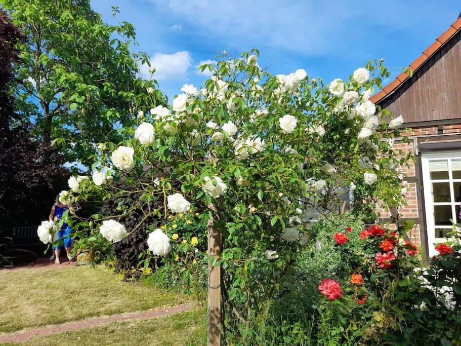 Ferienhaus Gartower See Zewnętrze zdjęcie