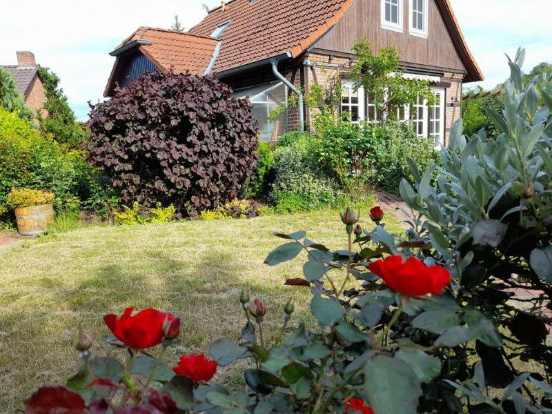 Ferienhaus Gartower See Zewnętrze zdjęcie